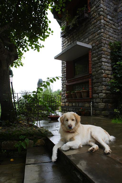 Saffronstays Himalaica, Nainital Bhowali Exterior foto